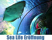 Sea Life: nach 70.000 Besuchern in den ersten Wochen feierte am 4.5. die neue Attraktion im Olympiapark nun auch offiziell Eröffnun (Foto: Martin Schmitz)